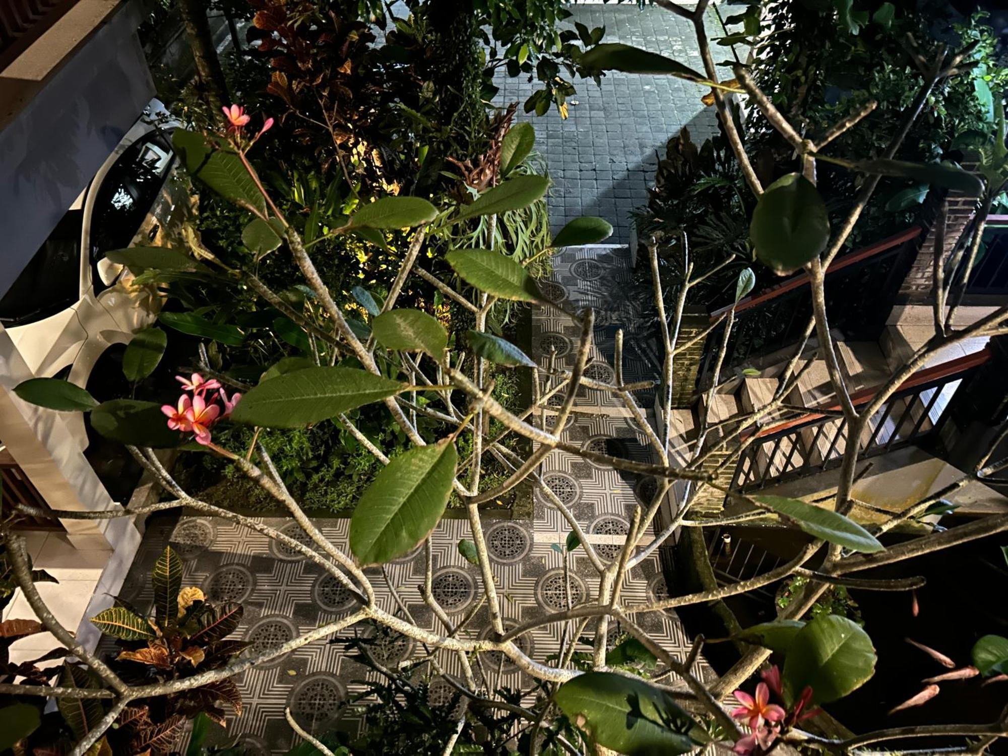 Balimas Guest House Ubud Buitenkant foto